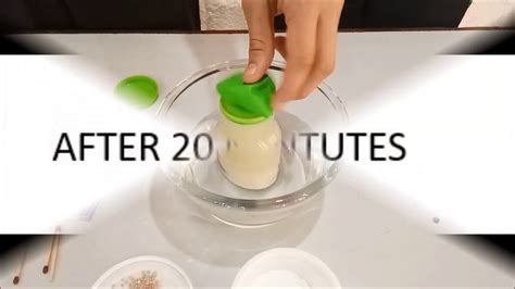 yeast and sugar fermentation|Plant Biology (SC/BIOL 2010 .